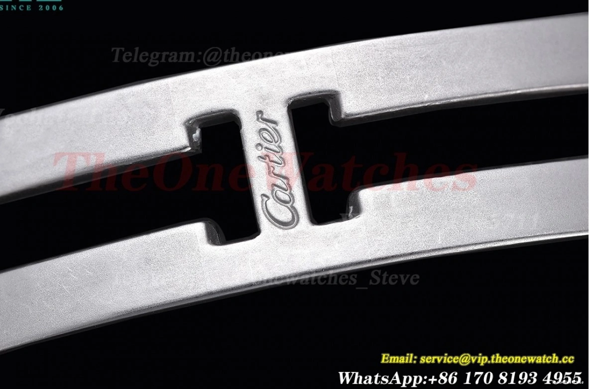 Ladies Dial Qtz De Secrete Swiss 22mm Panthere SS 8848F Dia White SS 1219